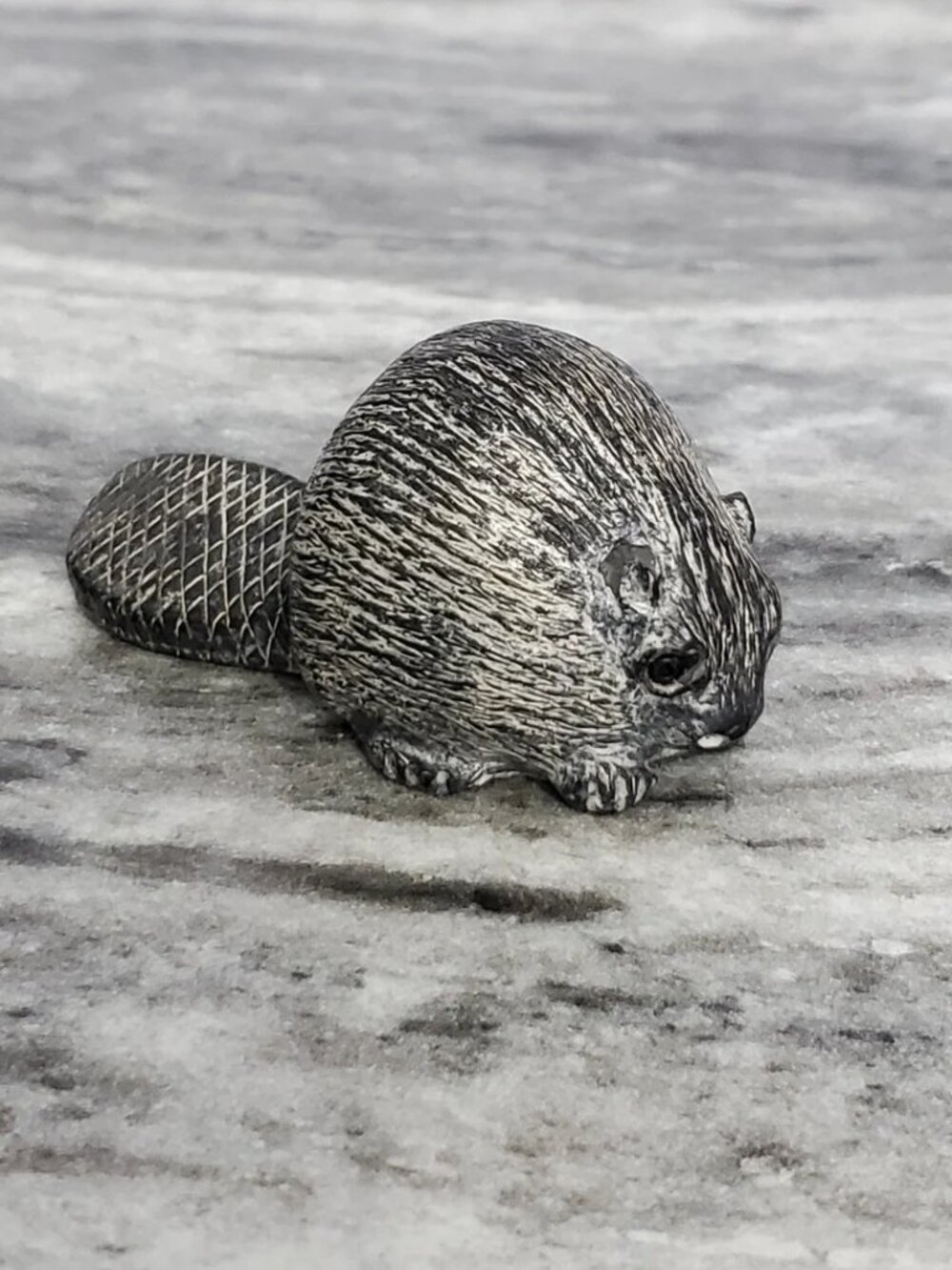 Vintage "A Wolf Original" Beaver Sculpture – 4" Hand-Finished Canadiana